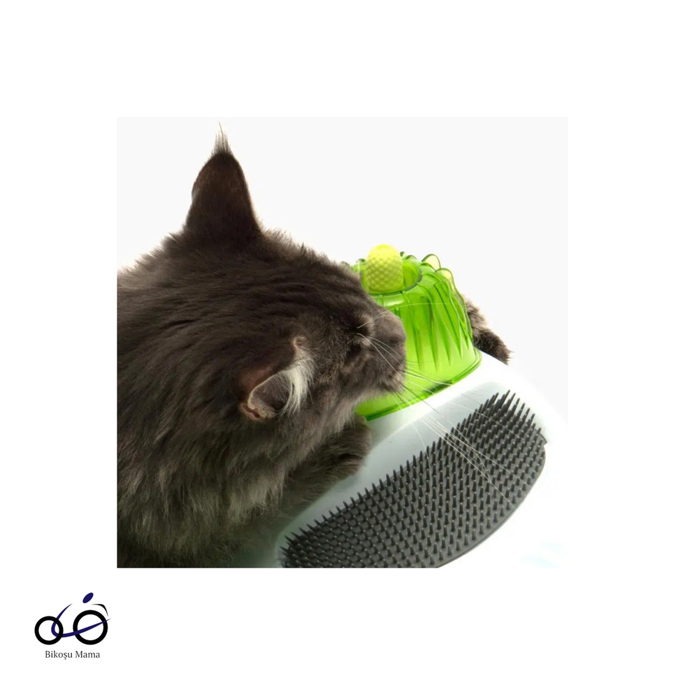 Senses Kedi Oyun Merkezi Kedi Oyun Çemberi