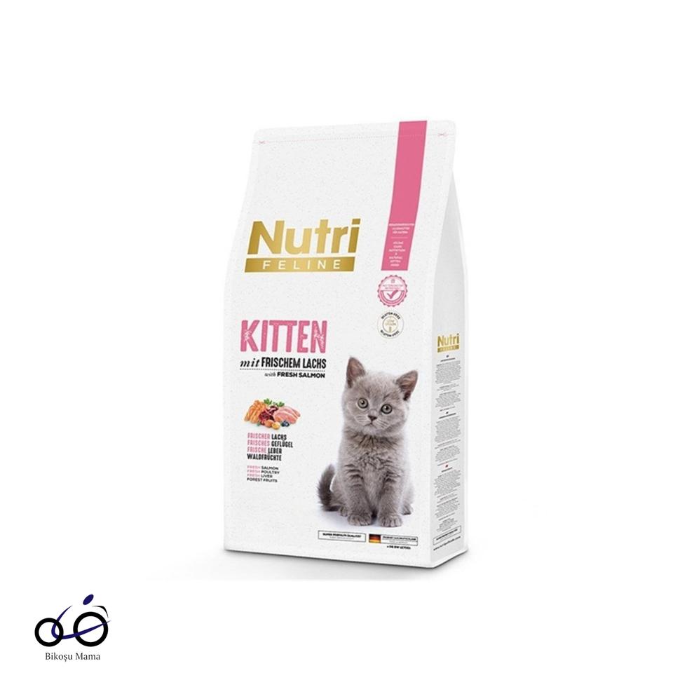 Feline Glutensiz Somonlu Düşük Tahıllı Yavru Kedi Maması 2kg
