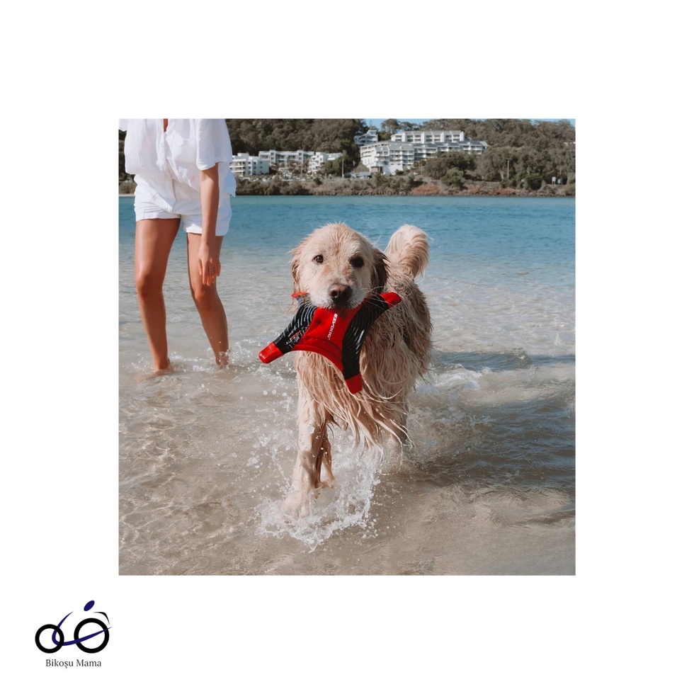 Dogstar Flyer Köşeli Frizbi Köpek Oyuncağı Kırmızı