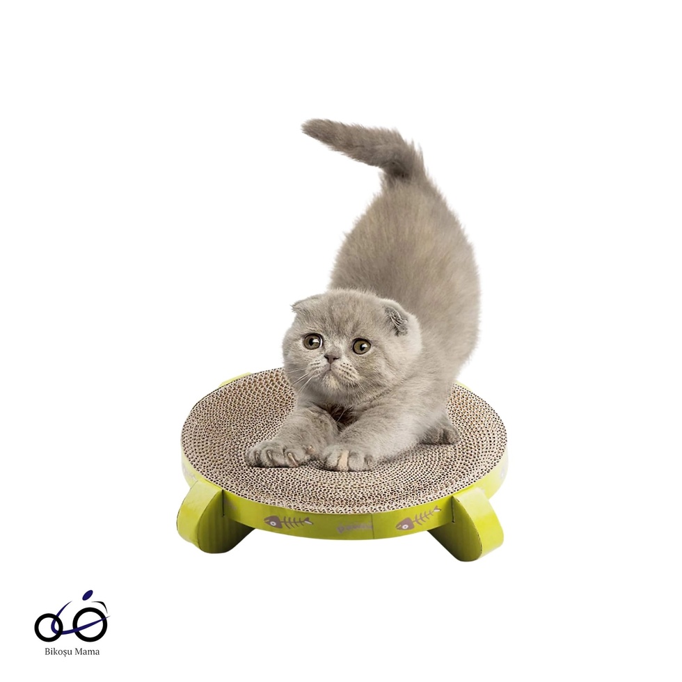 Karton Daire Şeklinde Kedi Tırmalaması