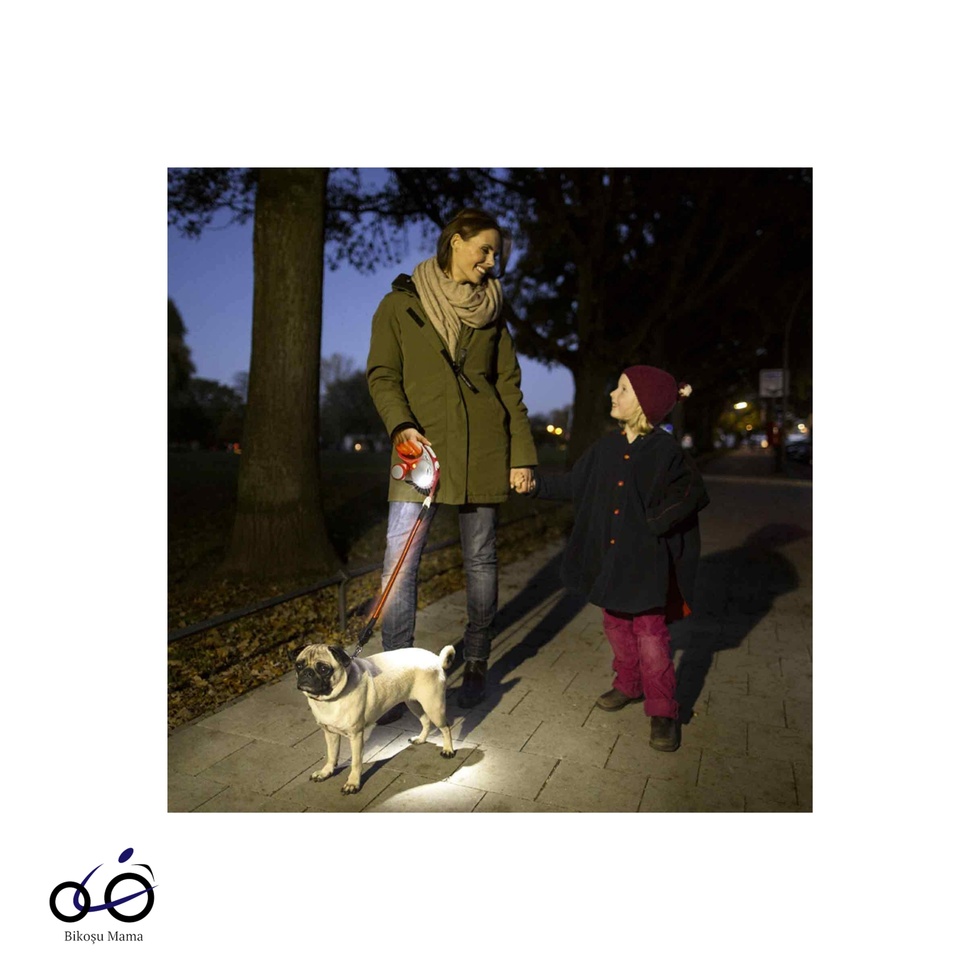 Siyah Led Işık Sistemli Tasma Aksesuarı