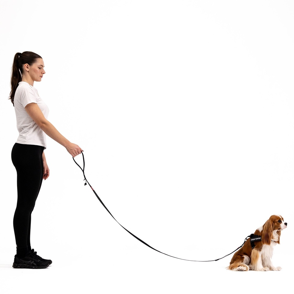 Trainer Soft Lite Köpek Kayışı 12mm