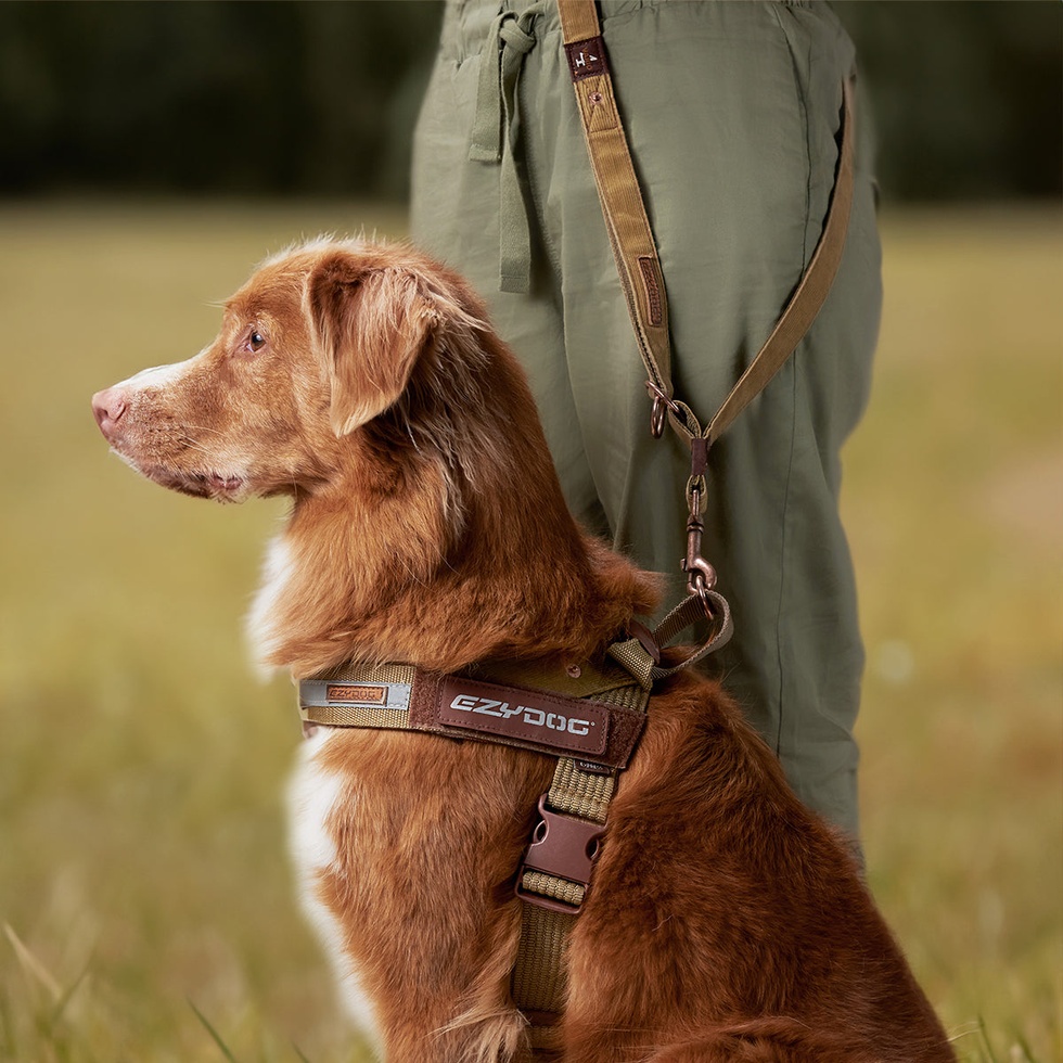 Vario 4 Çok Fonksiyonlu Gezdirme Tasması 25mm