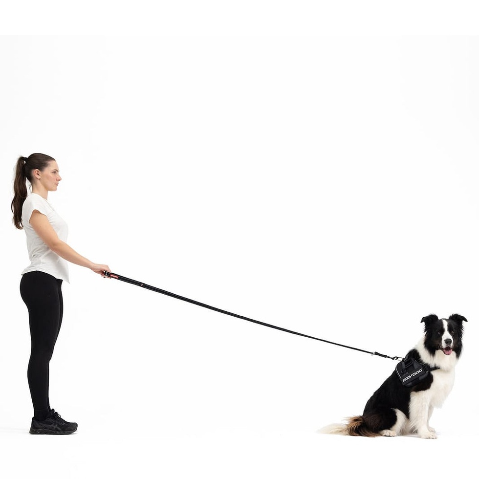 Vario 4 Çok Fonksiyonlu Gezdirme Tasması 25mm