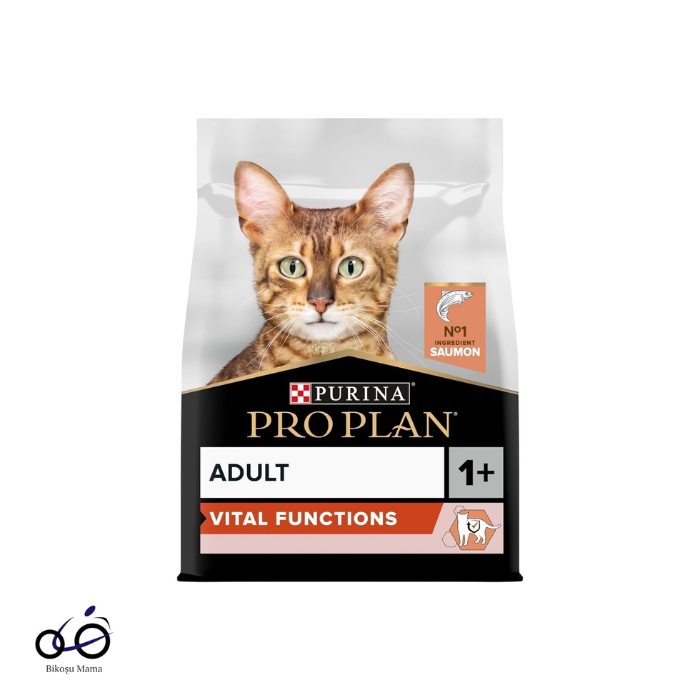 Somonlu ve Pirinçli Yetişkin Kedi Maması 1kg (AÇIK MAMA)