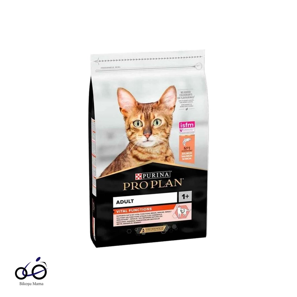 Somonlu ve Pirinçli Yetişkin Kedi Maması 1kg (AÇIK MAMA)