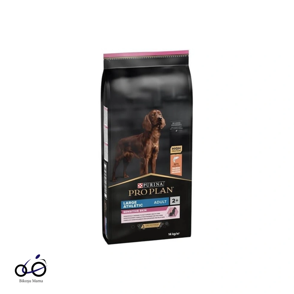 Large Athletic Büyük Irk Somonlu ve Pirinçli Yetişkin Köpek Maması 1kg (AÇIK MAMA)