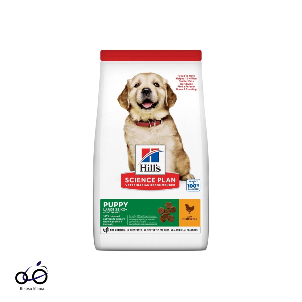 SCIENCE PLAN Tavuklu Büyük Irk Yavru Köpek Maması 1kg (AÇIK MAMA)