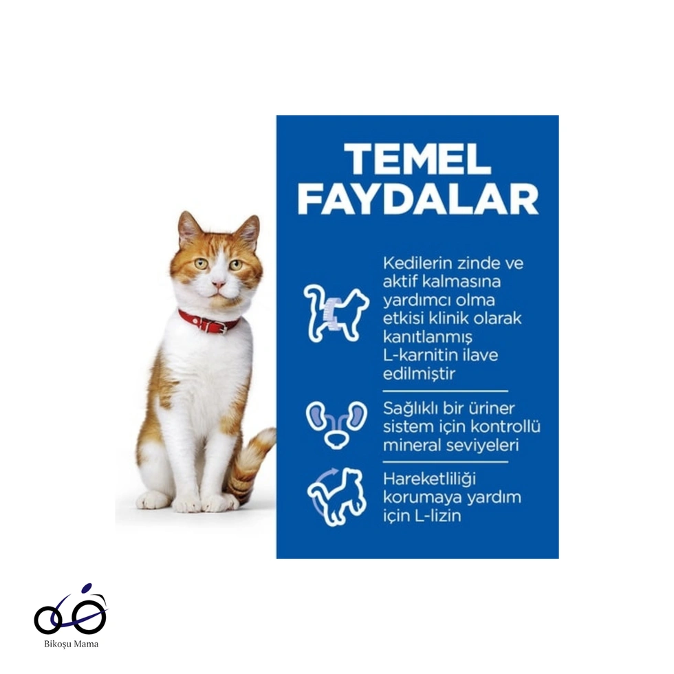 SCIENCE PLAN Somonlu Kısırlaştırılmış Yetişkin Kedi Maması 1kg (AÇIK MAMA)