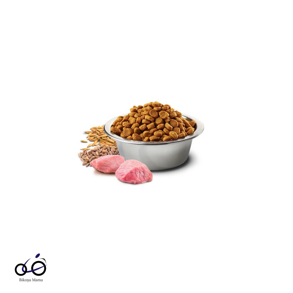 Ancestral Grain Düşük Tahıllı Kuzu Yaban Mersini Kısırlaştırılmış Kedi Maması 1kg (AÇIK MAMA)