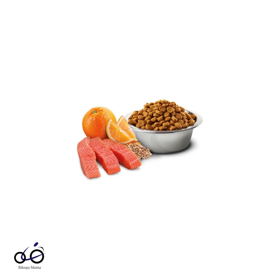 Ocean Somonlu ve Portakallı Ata Tahıllı Kısırlaştırılmış Kedi Maması 1kg (AÇIK MAMA)