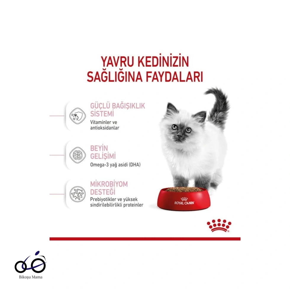 Yavru Kediler için Kedi Maması 1kg (AÇIK MAMA)