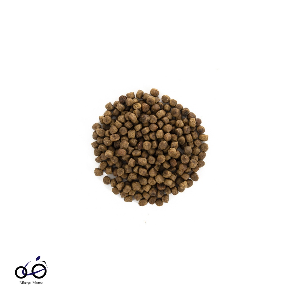 Indoor Hipoalerjenik Stres Azaltıcı Ev Kedileri için Tahılsız Yetişkin Kedi Maması