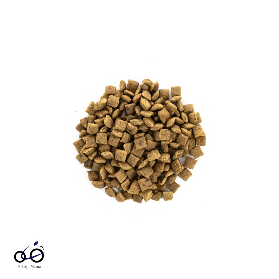 Senior Hipoalerjenik Kilo Kontrolü için Tahılsız Yaşlı Kedi Maması