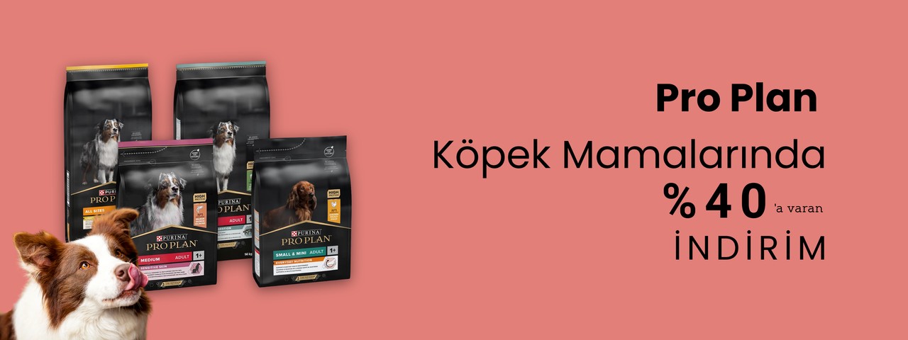 Pro Plan İndirimi