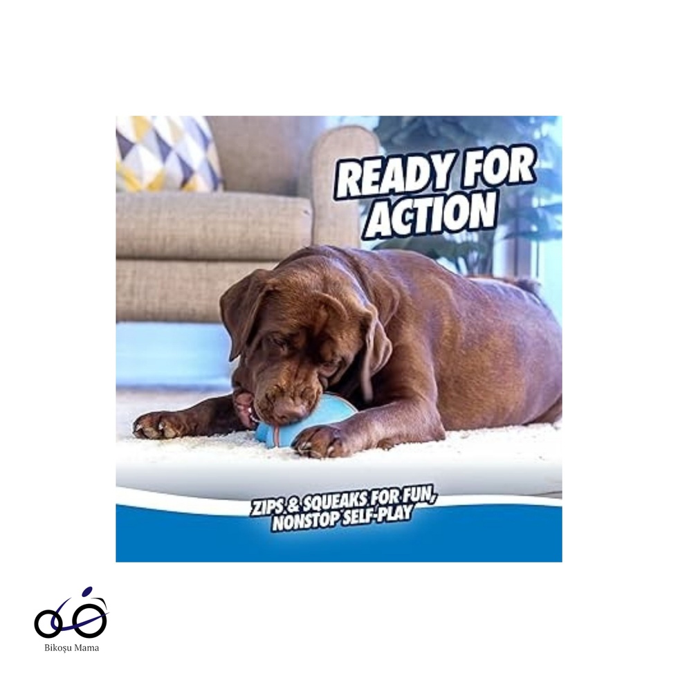 ! Super Slider Indoor Köpek Oyuncağı