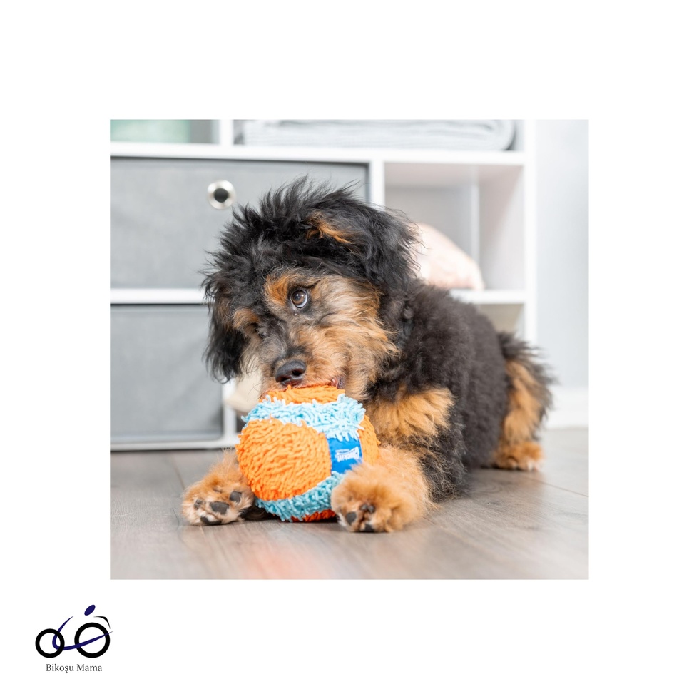 ! Indoor Ball Ev İçi Yumuşak Köpek Oyuncağı