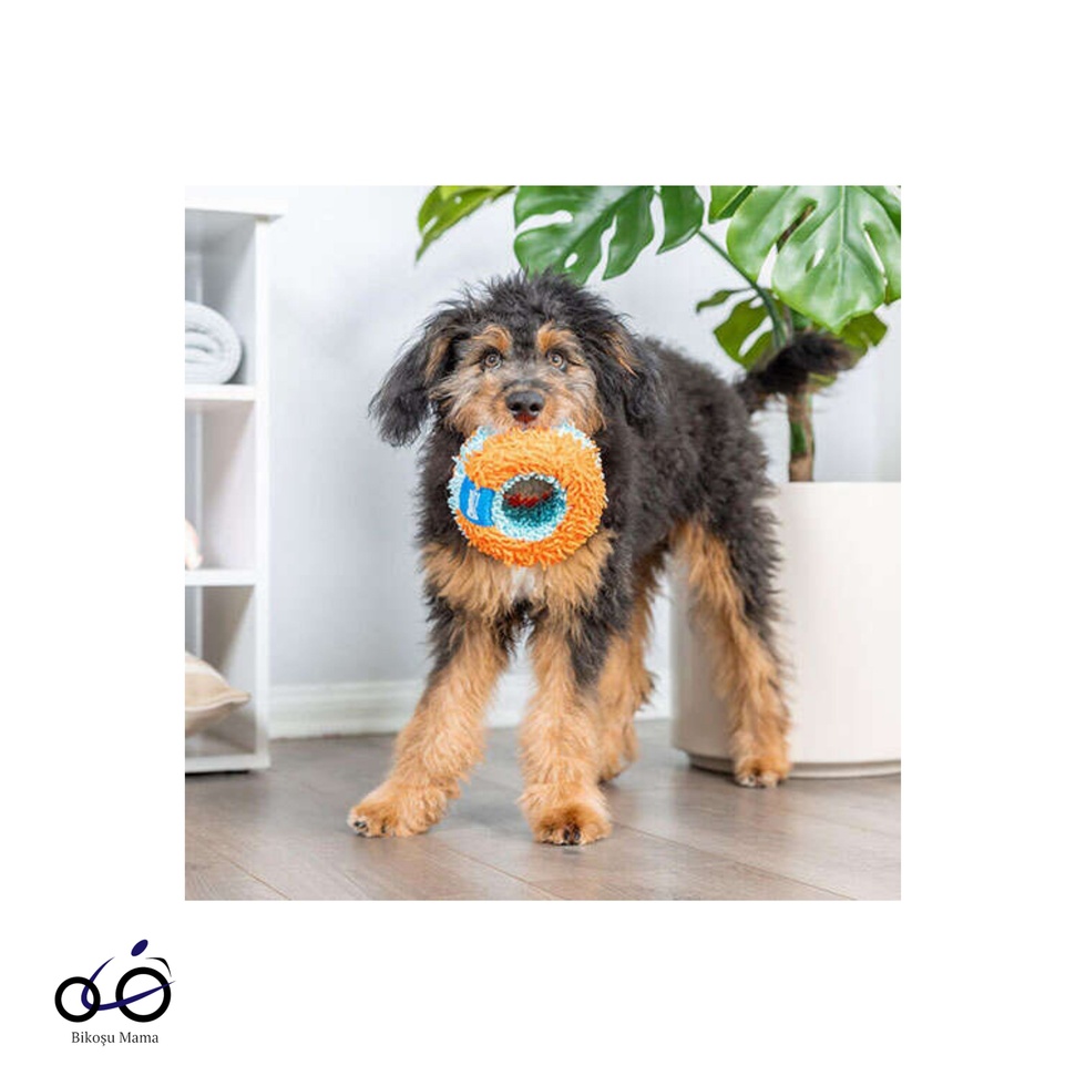 Indoor Roller Ev İçi Yumuşak Top Köpek Oyuncağı